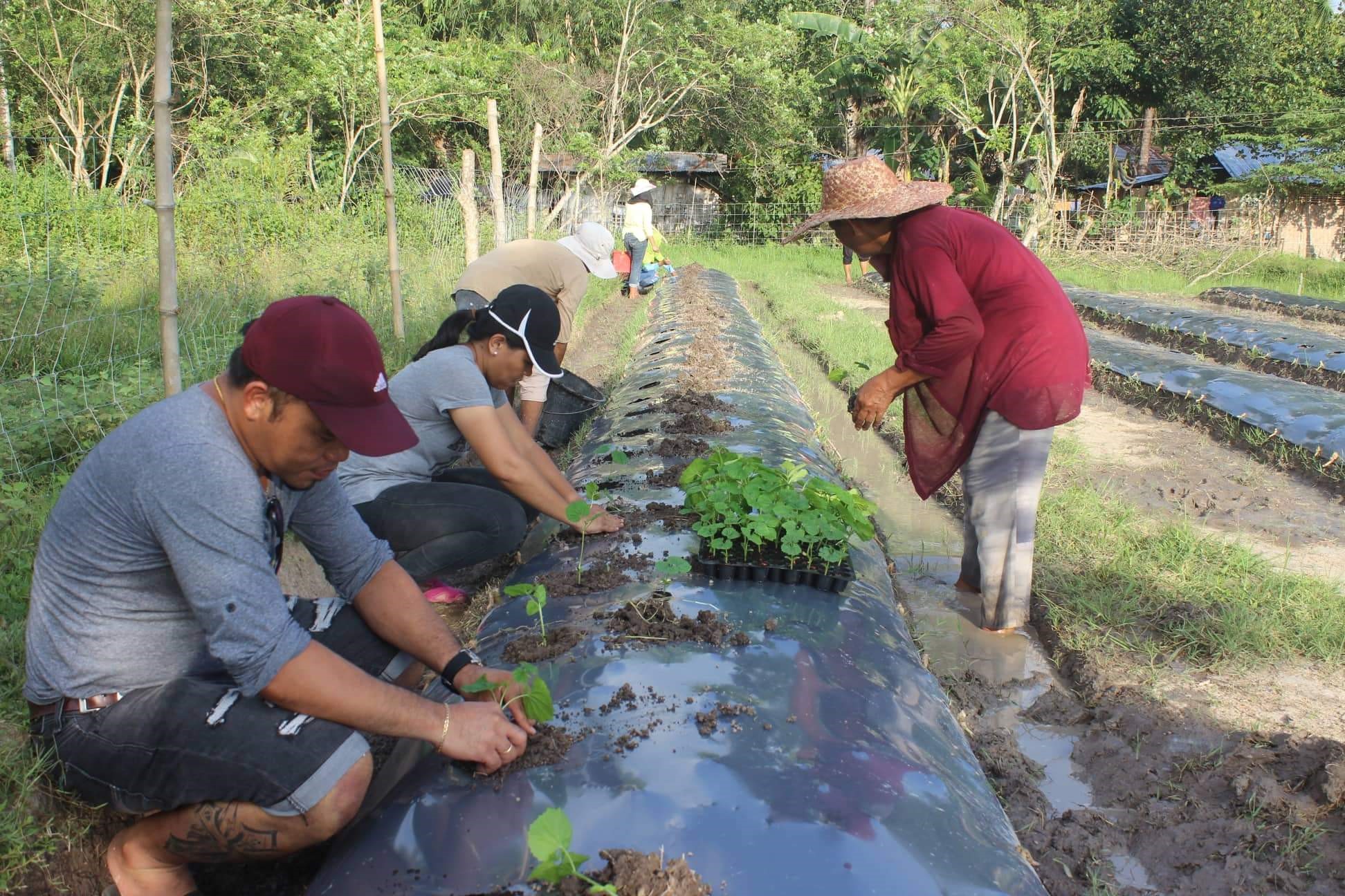 NGCP’s project Linang gains recognition from WWF Philippines - National ...